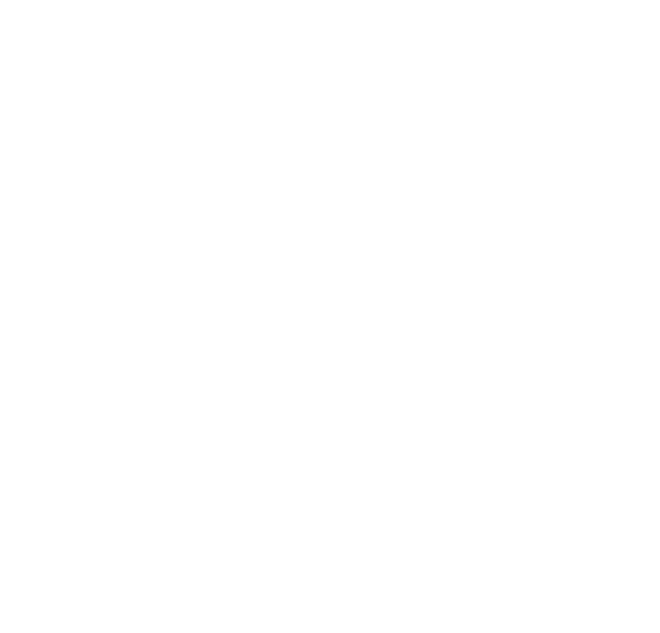 Budy